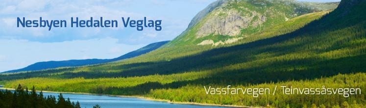 nesbyen-hedalen-veglag